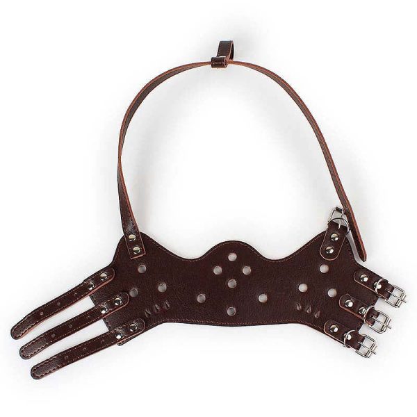 Botnita din piele set 4 buc SX-L
