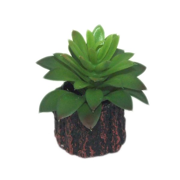 Decor pentru acvariu tip MY-11137 10*10 cm