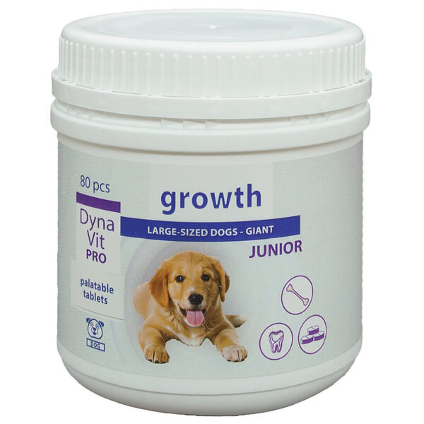 Dynavit-Pro Crestere pt caini junior de talie medie si mica 80*6g