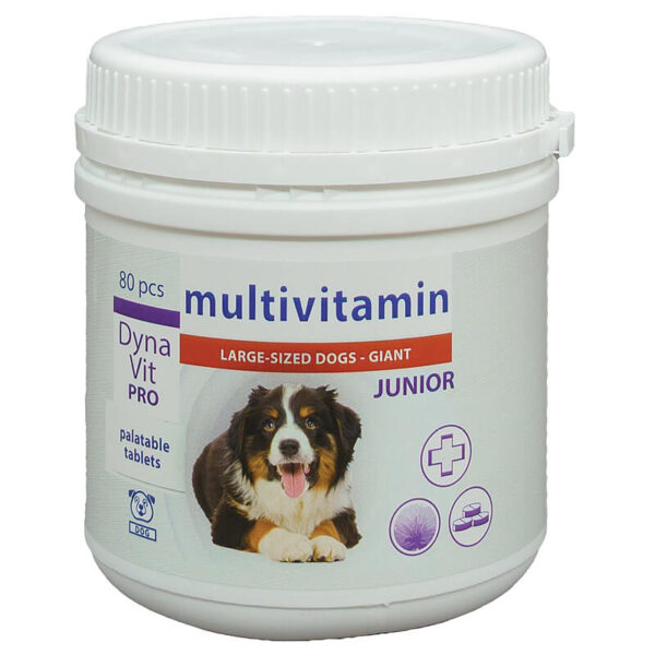 Dynavit-Pro Multivit tabelete pt. caini junior 80*6g