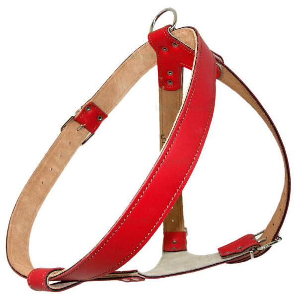 Ham piele de forta 4cm 80-115cm XXL color