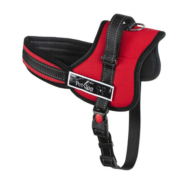 Ham matlasat sport, XXL 80-105 cm