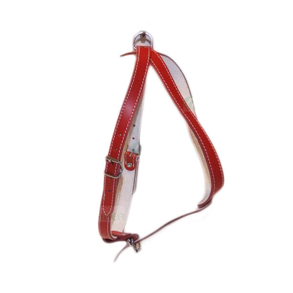 Ham piele captusit, nr. 1 1,5 cm rosu