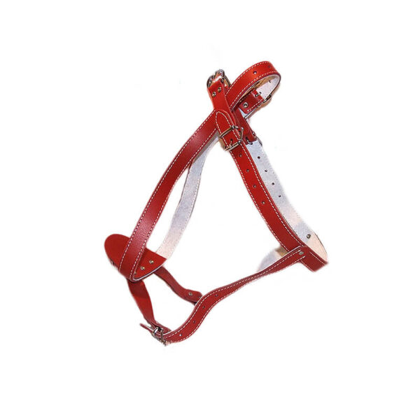 Ham piele captusit tras sanie, nr. 5 2 ,5 cm rosu