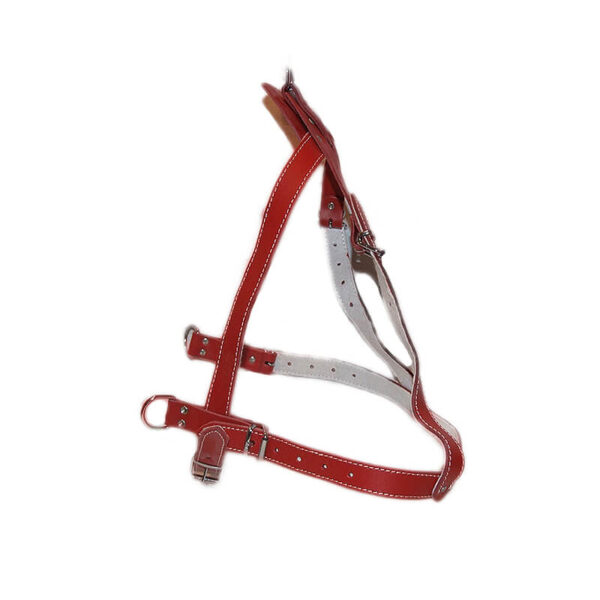 Ham piele captusit tras sanie, nr. 5 2 ,5 cm rosu