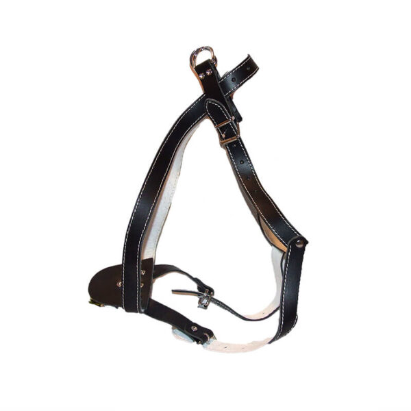 Ham piele captusit tras sanie, nr. 5 2 ,5 cm negru