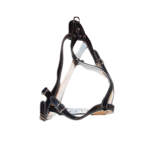 Ham piele captusit tras sanie, nr. 5 2 ,5 cm negru