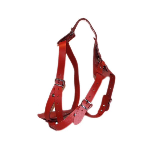 Ham piele de forta nr. 7 2 ,5 cm rosu