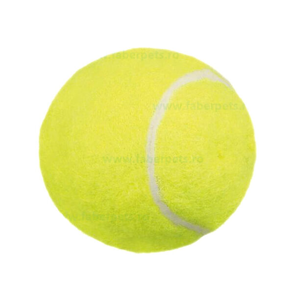 Jucarie minge tenis 3 buc/set