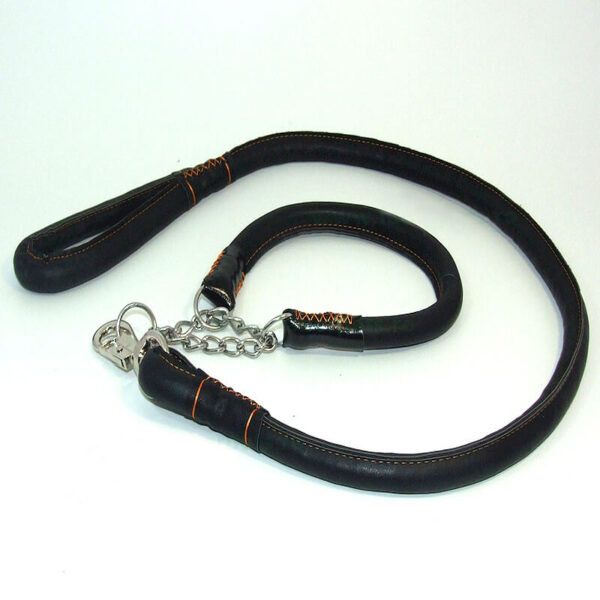 Lesa piele cu zgarda strangulanta 2*120 cm
