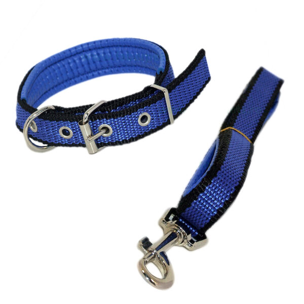 Lesa chinga cu zgarda captusita 1,5*120 cm