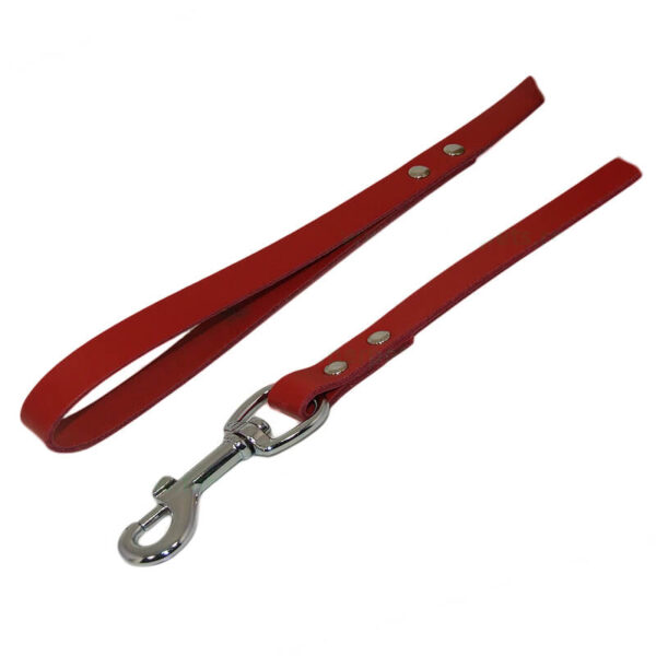Lesa piele nr. 2 rosu 12 mm/110 cm