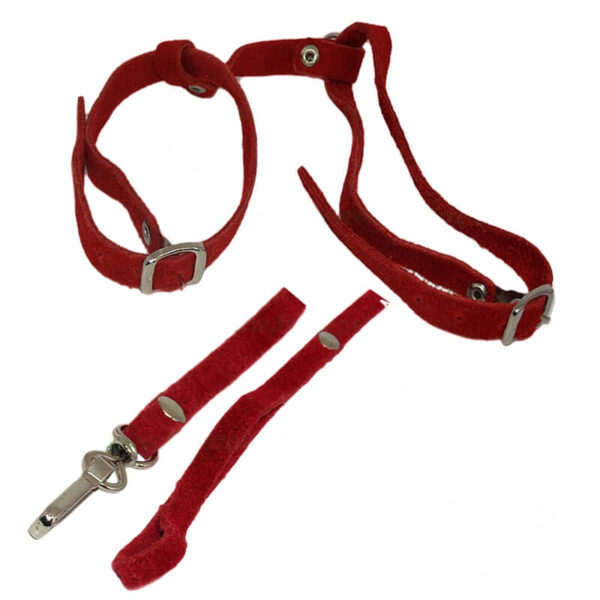 Lesa cu ham piele 1*105 cm