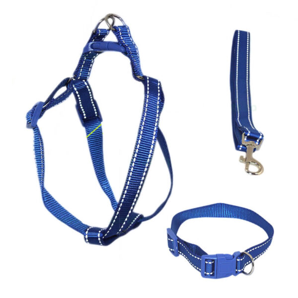 Lesa chinga cu ham și zgarda 1,5*120 cm