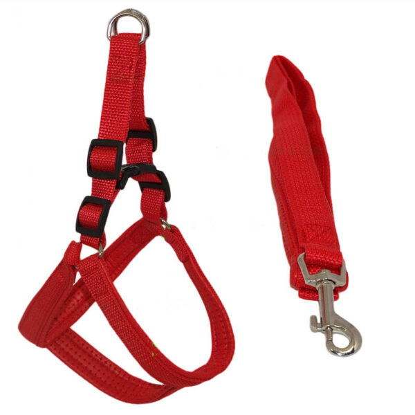 Lesa chinga cu ham captusit 2,5*120 cm
