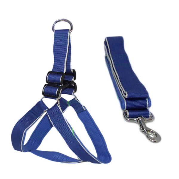 Lesa chinga cu ham 4*120 cm