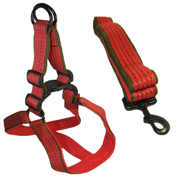 Lesa chinga cu ham captusit 4*120 cm