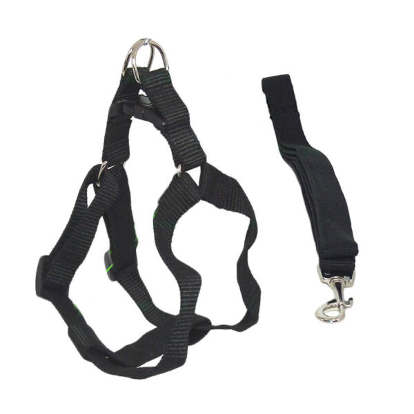 Lesa chinga cu ham 2*120 cm