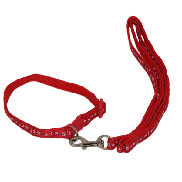Lesa chinga cu zgarda 1*117 cm