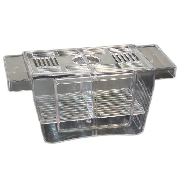 Maternitate pesti acvariu dublu 22x10x10 cm