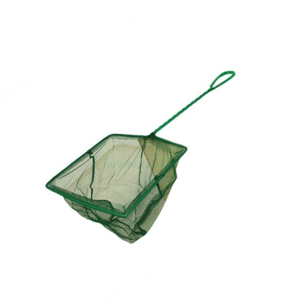Minciog pentru acvariu 7,5 cm ( 3" )