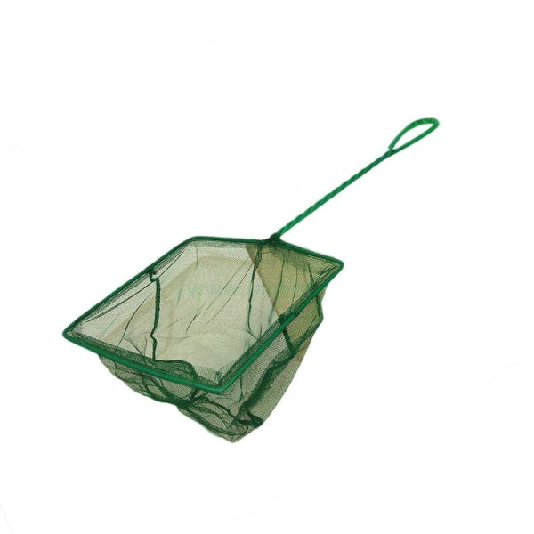 Minciog pentru acvariu 10 cm ( 4" )