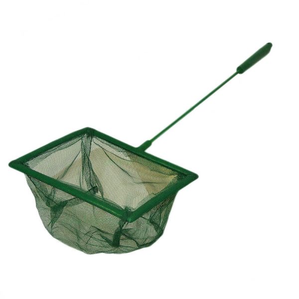 Minciog pentru acvariu 15 cm ( 6" )