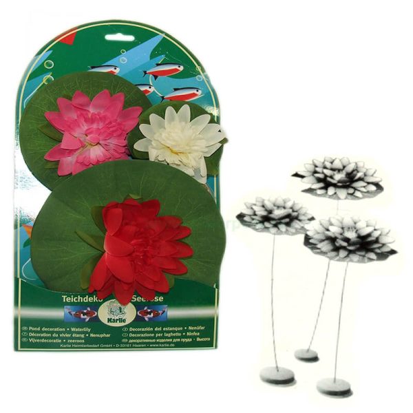 Plante acvariu nufar 10, 14, 20 cm