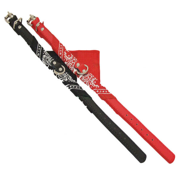 Zgarda chinga cu batic 1.5x40 cm