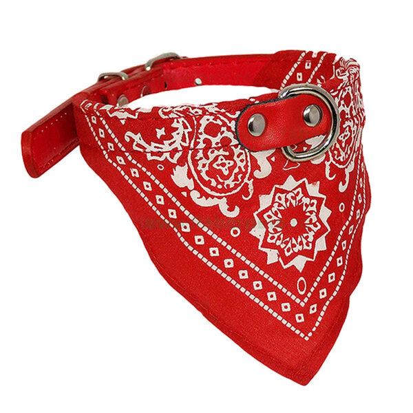 Zgarda chinga cu batic 2x44 cm