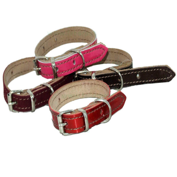 Zgarda piele natur color 1.5x35 cm