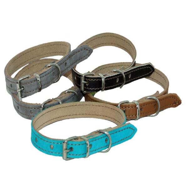Zgarda piele natur color 1.5x45 cm