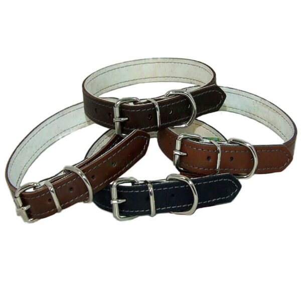 Zgarda piele natur color 2x45 cm