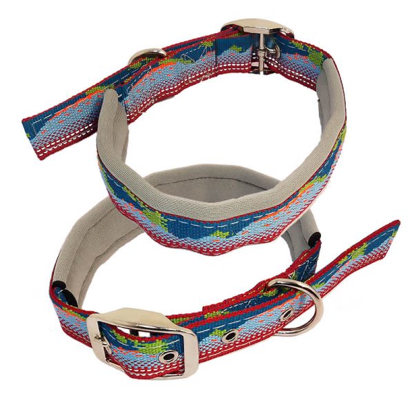 Zgarda chinga captusita colorata 2,5x60 cm 4/set