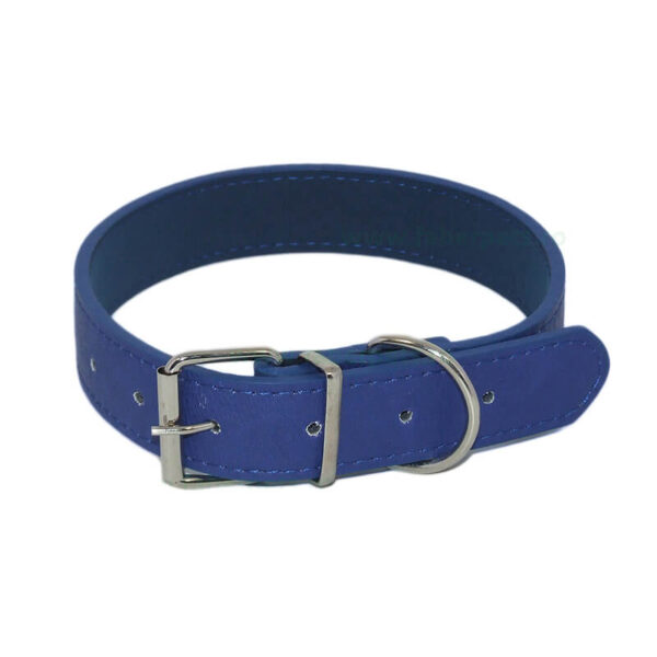 Zgarda piele colorata 2,5x52 cm