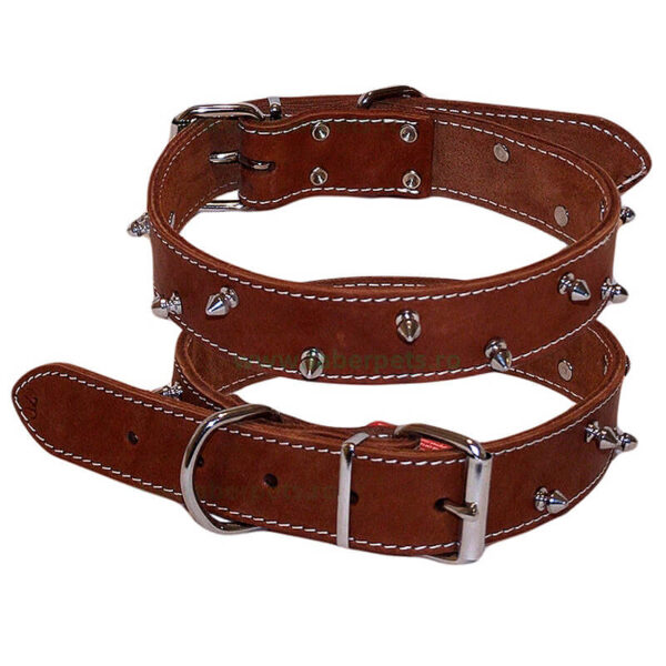 Zgarda din piele cu tepi FABER 3.5x70 cm