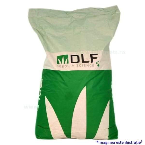 Amestec de seminte sport 20 kg pentru 600-800 m2