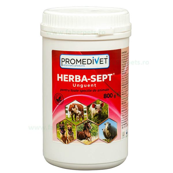 Herba-Sept unguent cicantrizant cabaline 800 gr