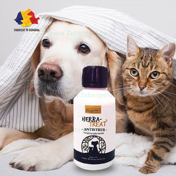Herba-Treat Antistres ptr. caini si pisici 200 ml