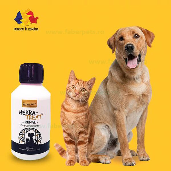 Herba-Treat Renal ptr caini si pisici 200 ml