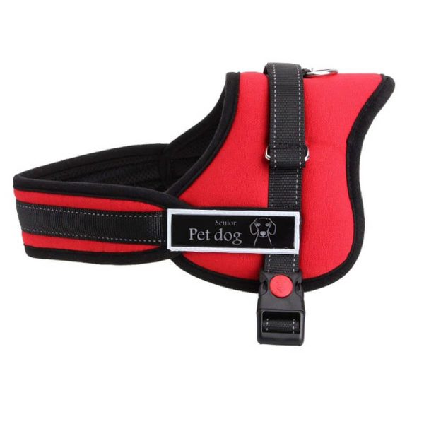 Ham matlasat sport, S 55-65 cm