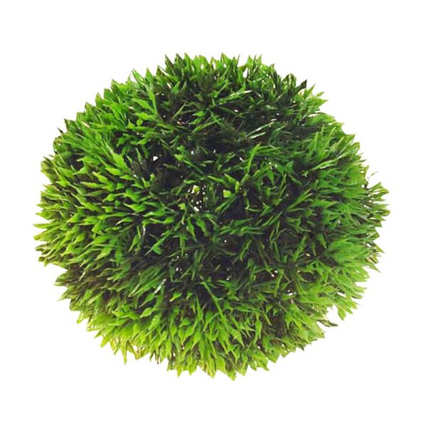 Plante artificiale acvariu sferic cu talpa - 7 cm