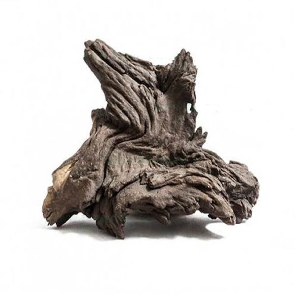 Radacina Mopani la buc XL 1100-1800 g