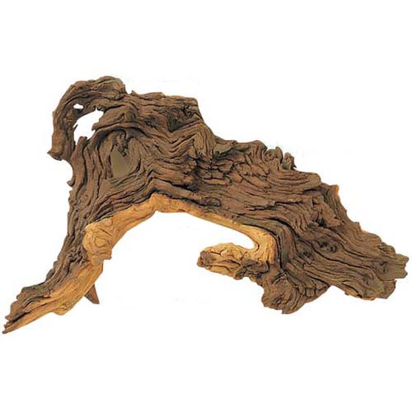 Radacina Mopani la buc XL 1100-1800 g