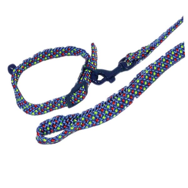 Lesa chinga cu zgarda 1,2*120 cm