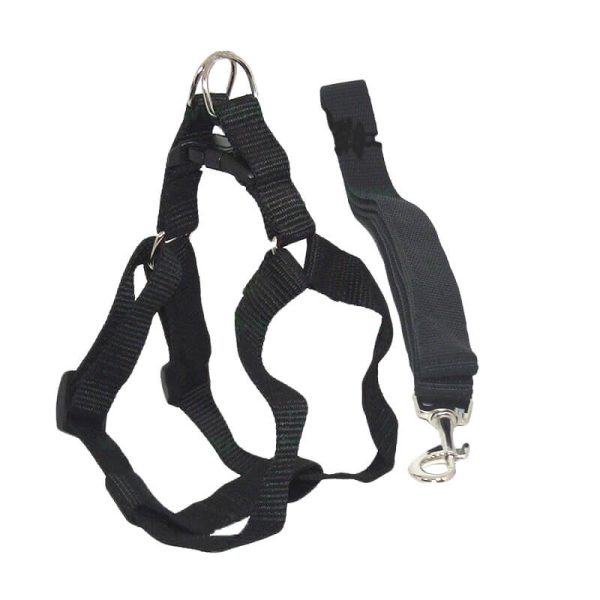 Lesa chinga simpla cu ham 4*120 cm